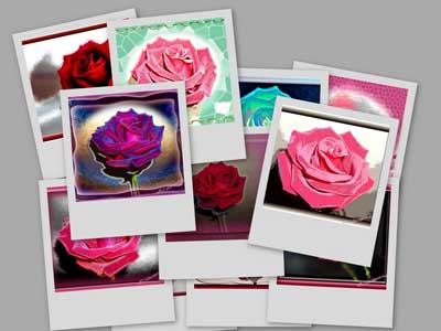 В фотоальбоме  "Розовый бенефис"  12 фотографий. КЛИКНИ И ПОСМОТРИ!